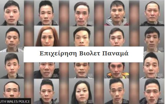 Operation Violet Panama